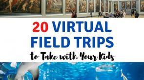 20_virtual_field_trips.png