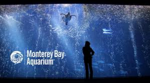 monterey_Bay_aquarium.png
